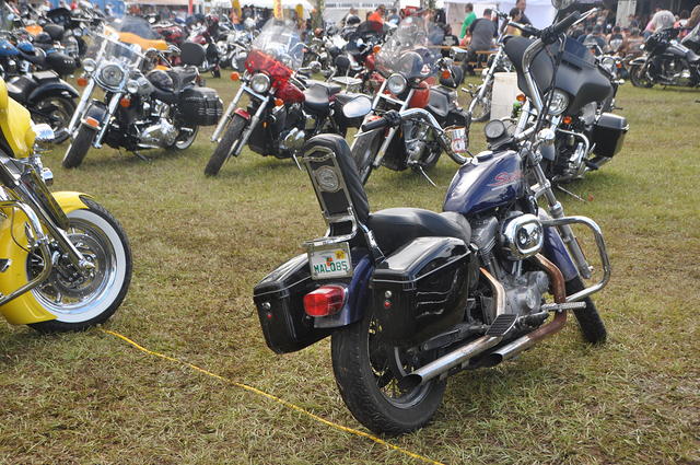 DSC 0201