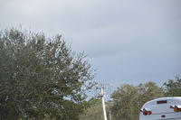 DSC 00008