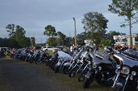 DSC 00193