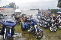 DSC 0030