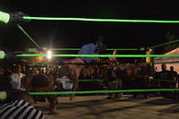 DSC 00300