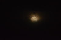 DSC 00317