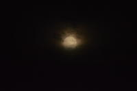 DSC 00318